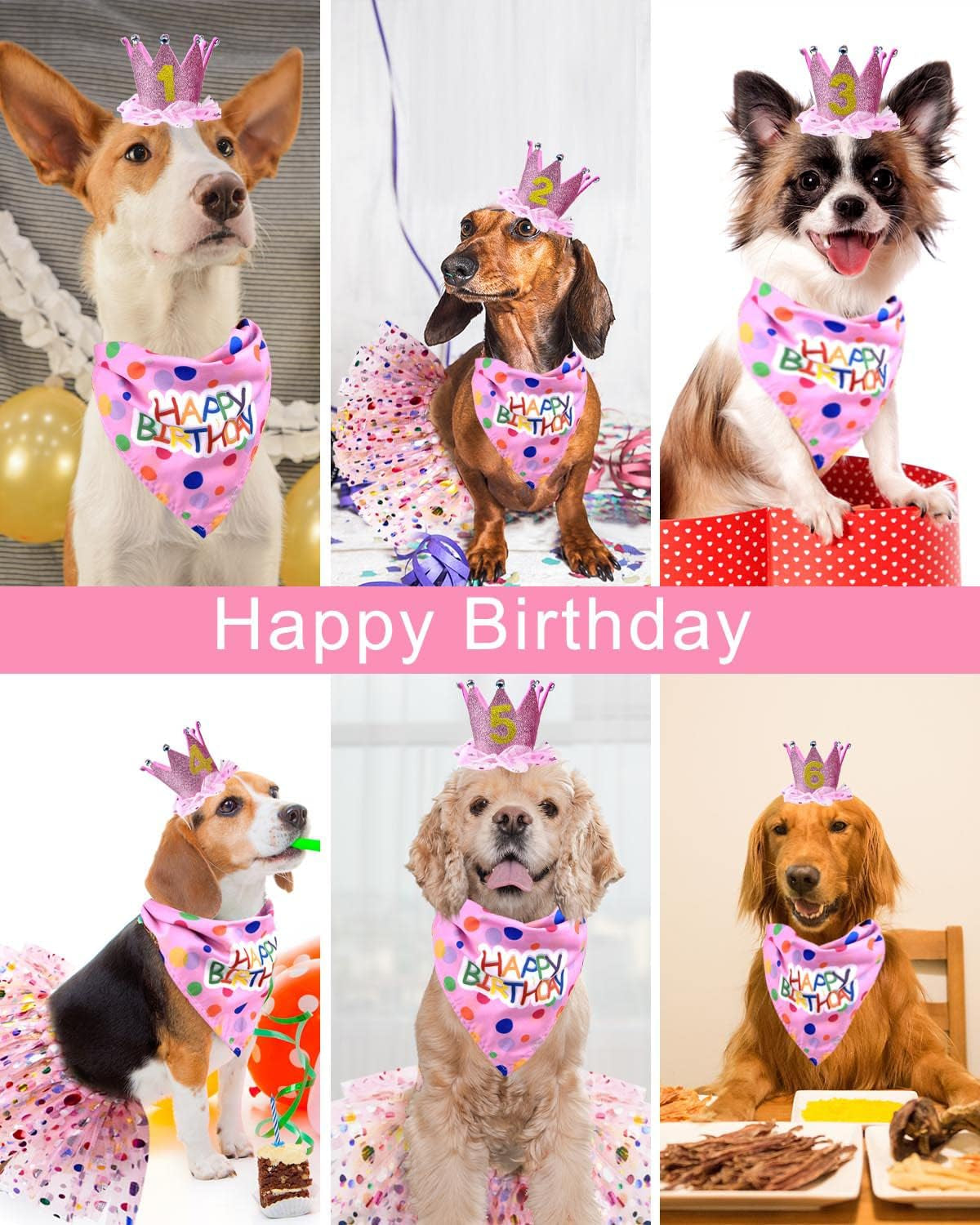 Dog Birthday Party Supplies, Including Dog Birthday Hat Tutu Skirt Birthday Banner Balloon Digital Sticker Dog Bandana, for Small Medium Breed (Dog Skirt)