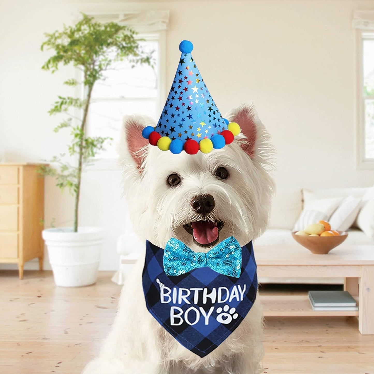 Dog Birthday Party Supplies, Dog Birthday Bandana Boy Girl and Dog Birthday Party Hat with Dog Bow Tie Collar for Medium Large Dogs (Blue, Large)
