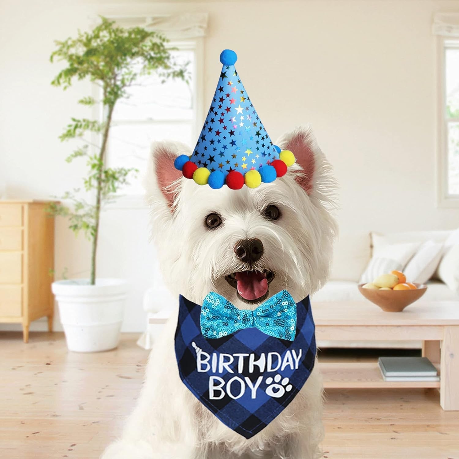 Dog Birthday Party Supplies, Dog Birthday Bandana Boy Girl and Dog Birthday Party Hat with Dog Bow Tie Collar for Medium Large Dogs (Blue, Large)