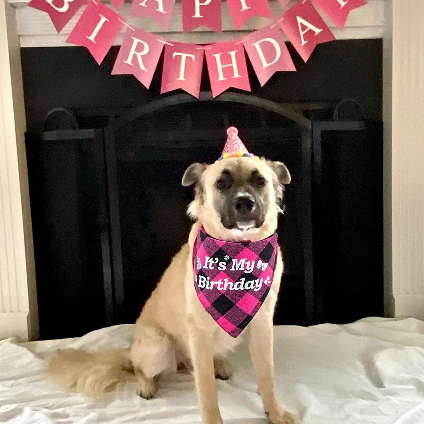 Dog Birthday Party Supplies, Dog Birthday Girl Bandana Triangle Hat Scarfs Flag Balloon Bow Tie Birthday Number with Cute Doggie Birthday Party Set Decorations